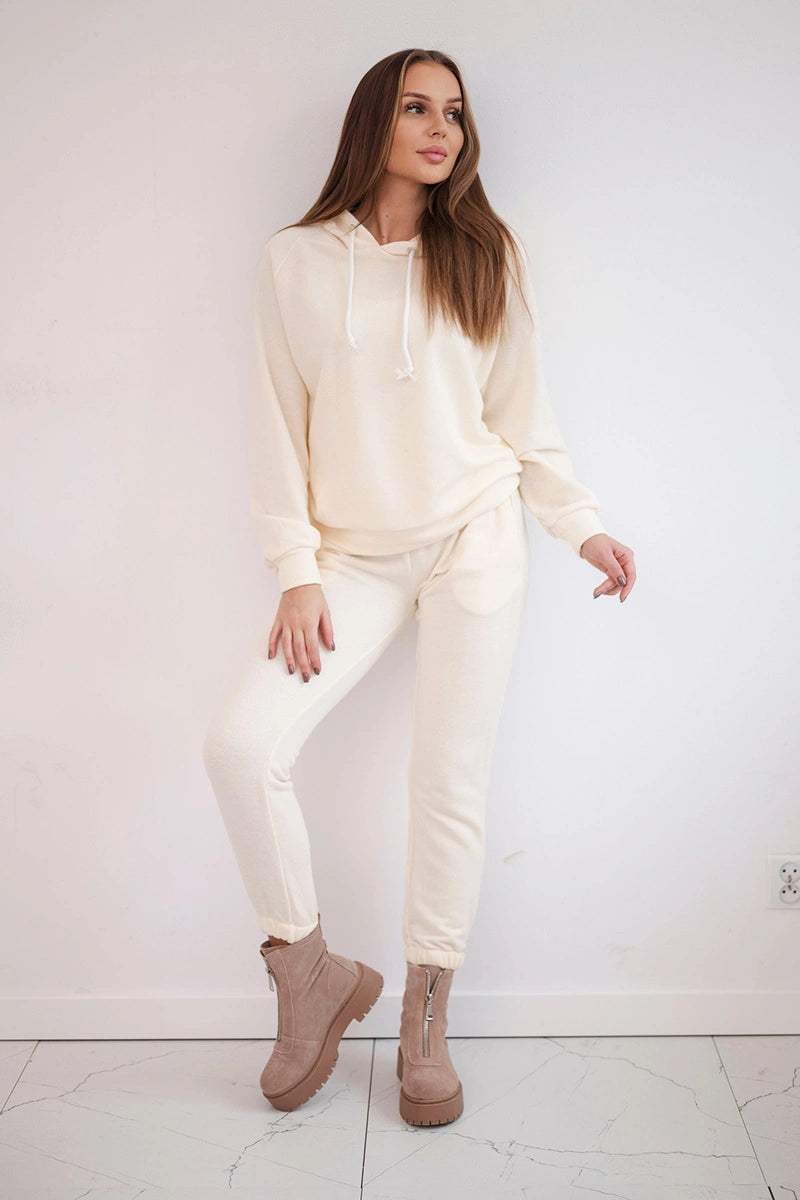 Комплект от суитчер с качулка и панталон 9361